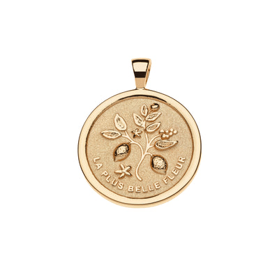 Jane Win Womens Jewelry Gratitude Original Pendant Coin Necklace