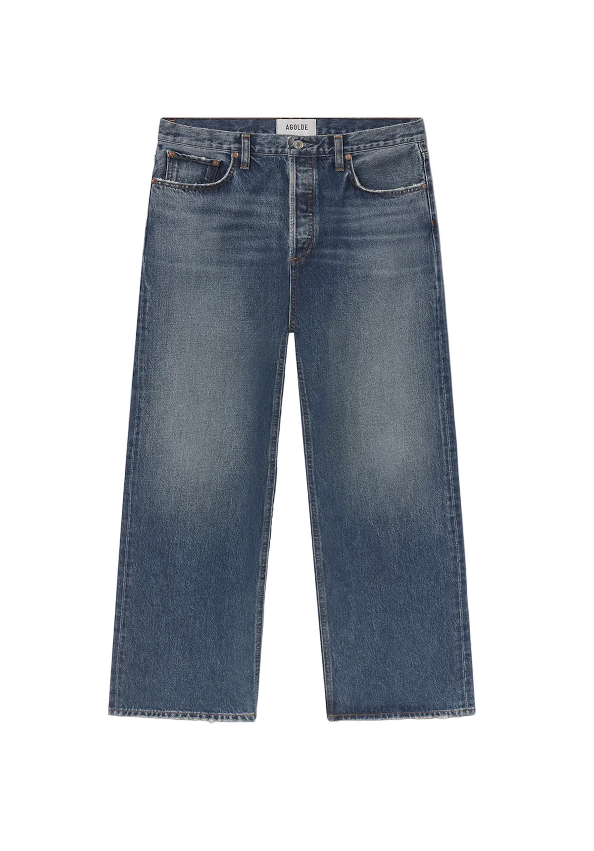 AGOLDE Womens Denim 24 / Selection Low Slung Baggy