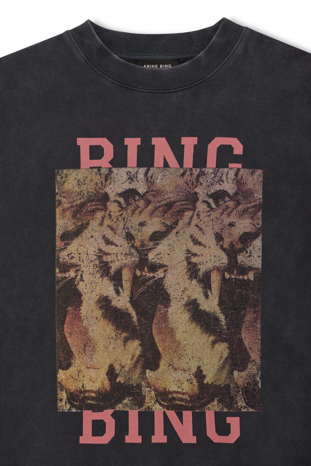 Anine Bing Womens Sweaters - Cashmere Miles Sweatshirt Tiger Bing
