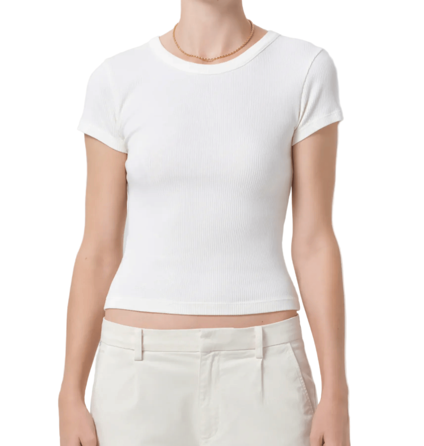 Citizens of Humanity Womens Basics Nello Tee - Pashmina