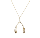 Jane Win Womens Jewelry Lucky Gold Wishbone Pendant 18-20"