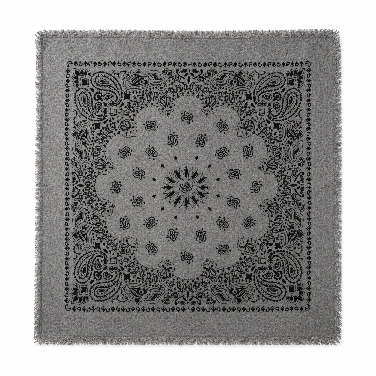 Kujten Womens Accessories Anthra Hachiko Bico Scarf