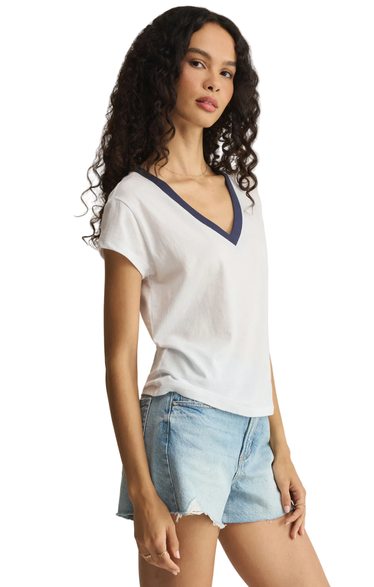 Z Supply Womens Basics Modern Colorblocked V-Neck Tee
