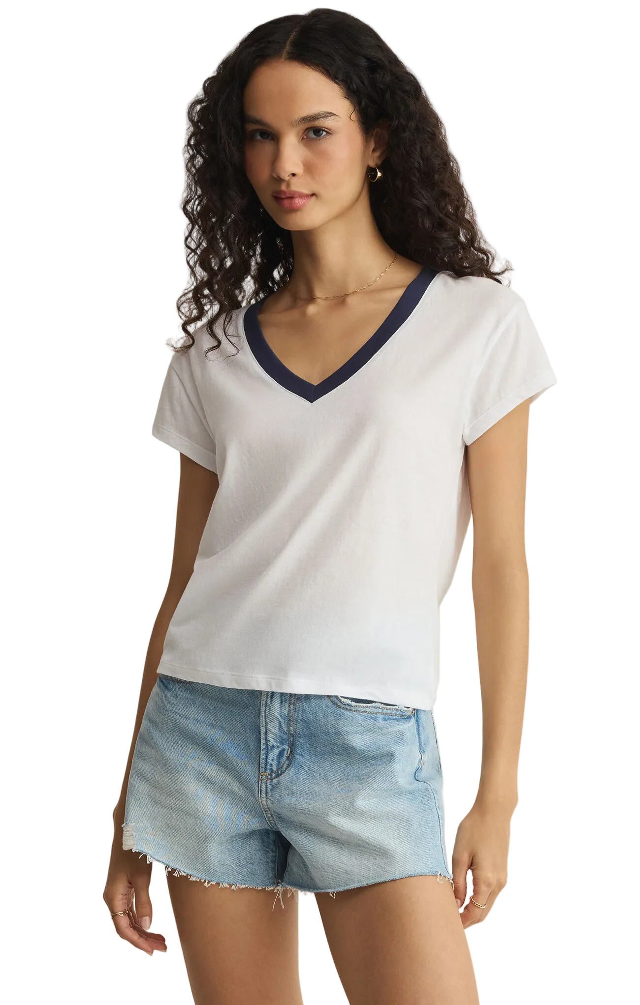 Z Supply Womens Basics Modern Colorblocked V-Neck Tee