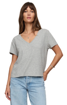 Z Supply Womens Basics XSmall / Classic Heather Grey Nomad V-Neck Tee